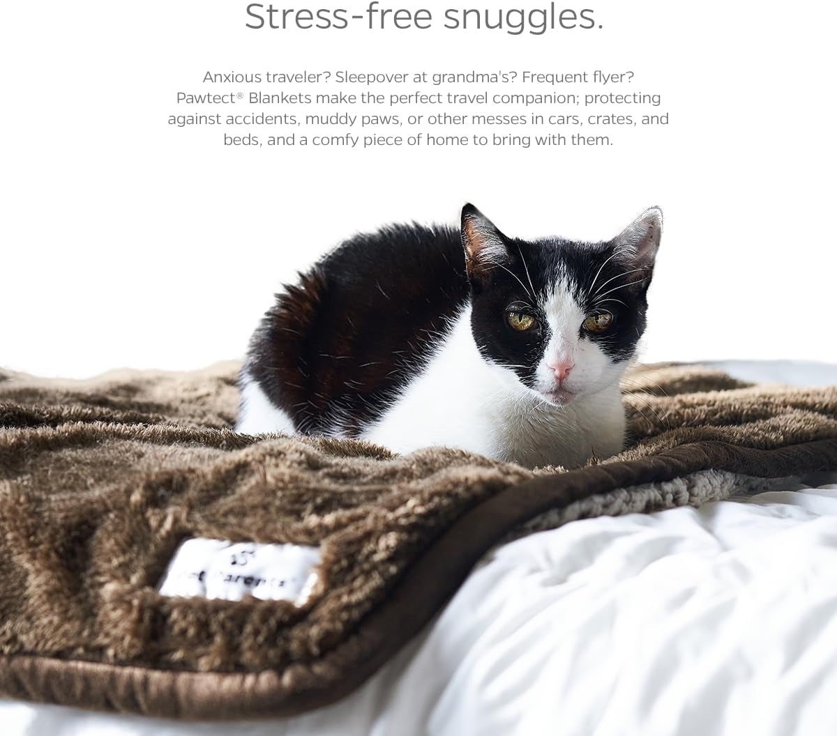 Pawtect Premium Waterproof Cat & Dog Blanket with Wickquick & Sherpup Technology, Puppy & Cat Blanket, Slate 50X60