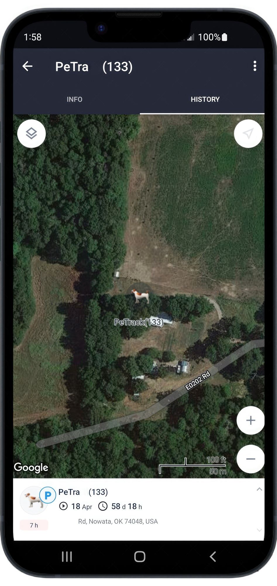 436861731